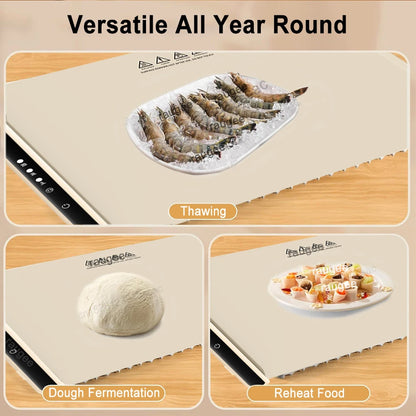 Electric Warming Tray